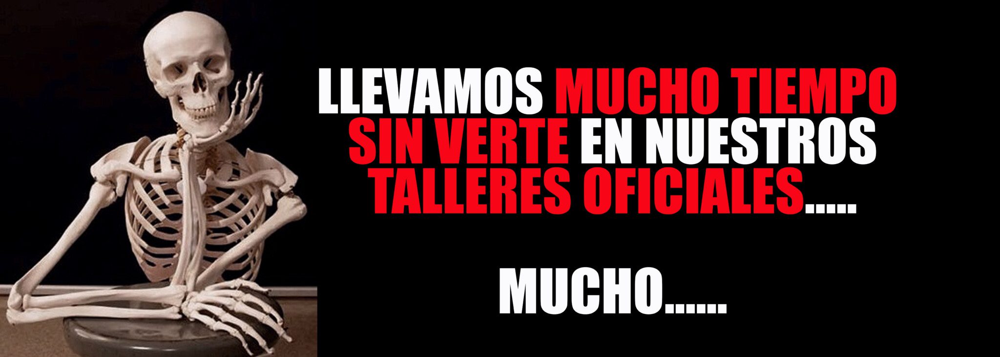 taller oficial ford